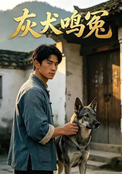 《灰犬鸣冤》