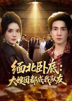 《缅北卧底：大嫂团都成我队友》