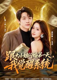 《跟大小姐闪婚第一天，我觉醒系统》