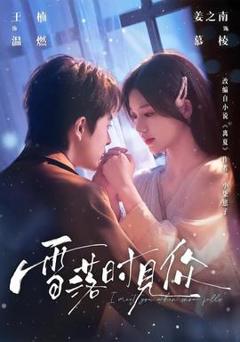 《雪落时见你》