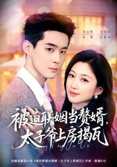 《被迫联姻当赘婿，太子爷上房揭瓦》
