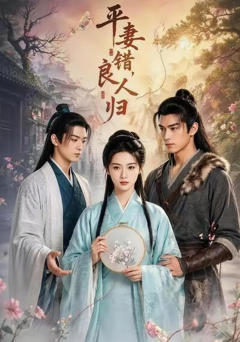 《平妻错，良人归》