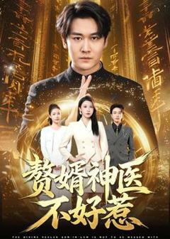 《赘婿神医不好惹》