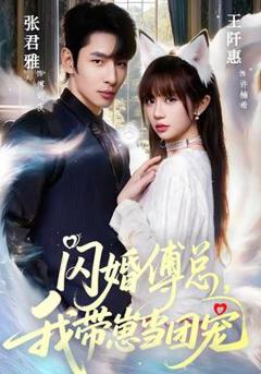 《闪婚傅总，我带崽当团宠》