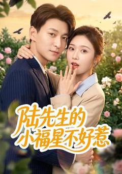 《陆先生的小福星不好惹》