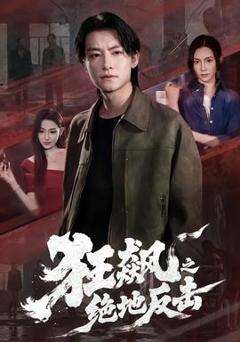 《狂飙之绝地反击》