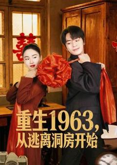 《重生1963，从逃离洞房开始》