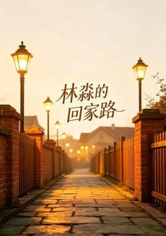 《林淼的回家路》