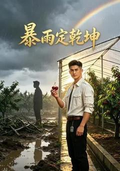 《暴雨定乾坤》