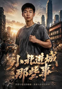 《小北进城那些事》