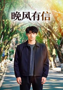 《晚风有信》