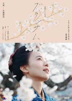 花朵盛开